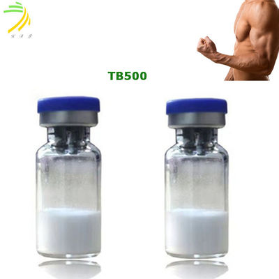 quality Thymosin Beta 4 Body Building Peptides Tb500 ความบริสุทธิ์ 99% factory